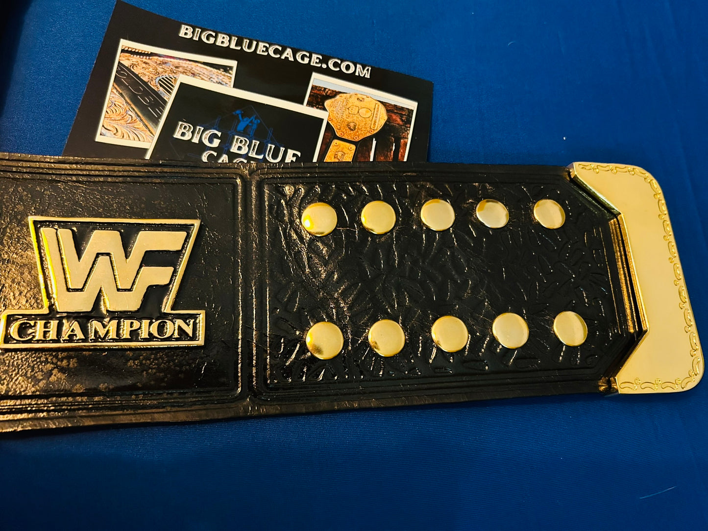 WWF WInged Eagle